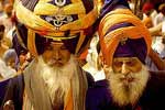 photobysanjayarora14_small.jpg