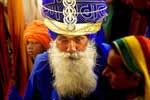photobysanjayarora8_small.jpg