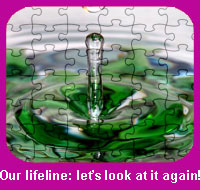 Green Zone - Our lifeline: let’s look at it again!