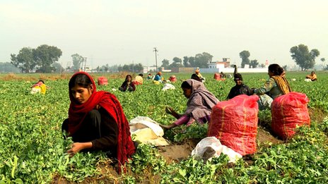 India's booming land values spark family feuds India's booming land values spark family feuds
