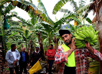 Sikh farmers Sikh farmers