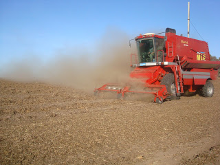 Peanut harvesting Peanut harvesting