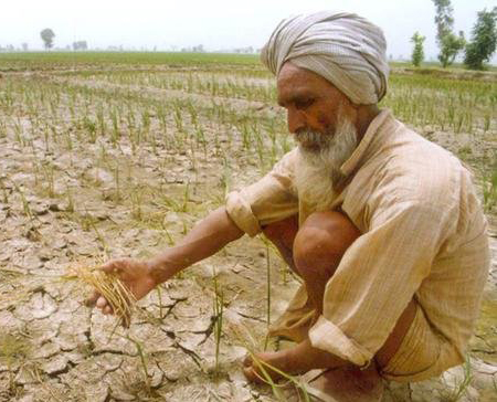 Why Punjab should adopt Indoor Farming